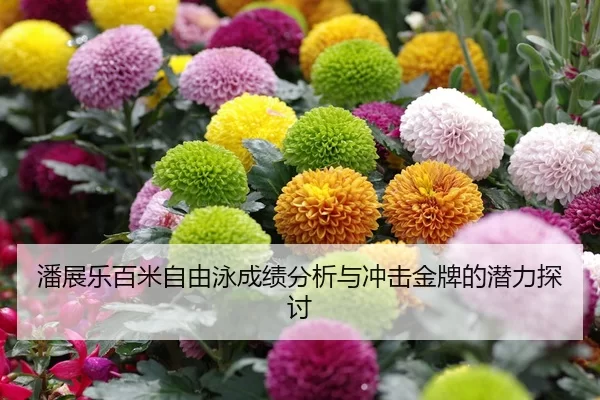 潘展乐百米自由泳成绩分析与冲击金牌的潜力探讨