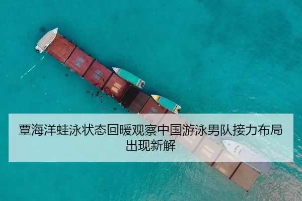 覃海洋蛙泳状态回暖观察中国游泳男队接力布局出现新解